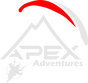 Team Apex - Home