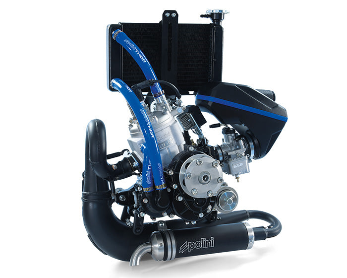 Polini Thor 260 engine