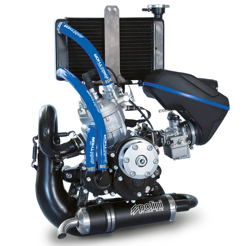 Polini Thor 202 engine